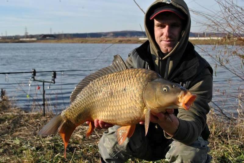 Diverse - 7274602284503139612877568597n.jpg